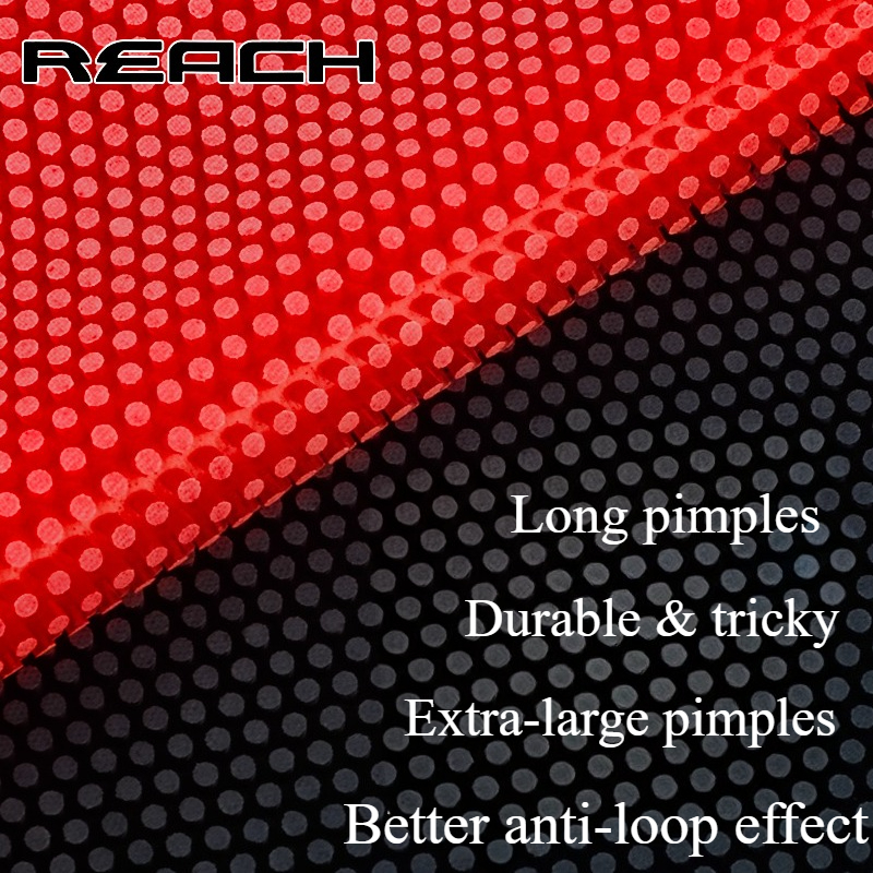 Reach C-8 C-801 Table-tennis R – Table Tennis Games Bewertung und Preis